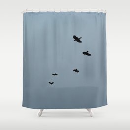  Ravens Flying Foggy Sky Shower Curtain
