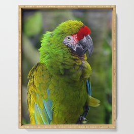Military Macaw Serving Tray