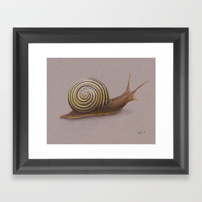 Snail by Lars Furtwaengler | Colored Pencil / Pastel Pencil | 2011 Framed Art Print