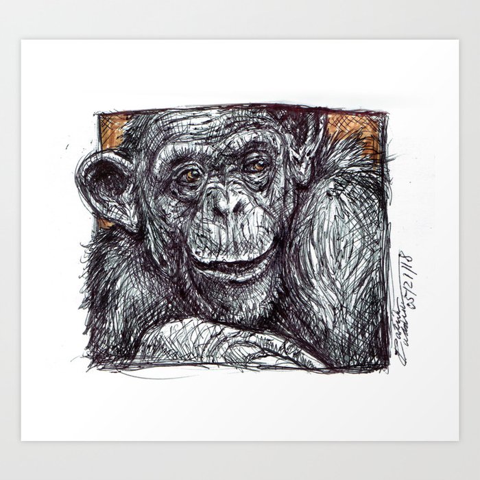 Bonobo Art Print
