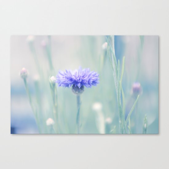 Hidden secrets Canvas Print