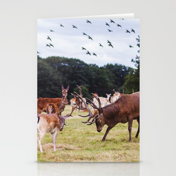 Mr Prongs and other Marauders Stationery Cards