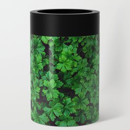 Parsley leaves | Fresh aromatic herbs pattern | Staple of Italian cuisine Can Cooler