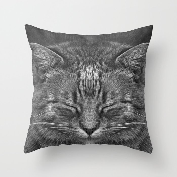 The Big Kahuna My Big Ginger Cat Throw Pillow By