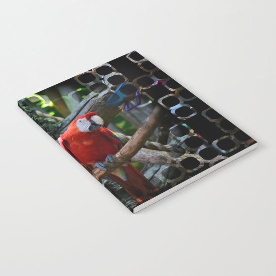 All About the Color Notebook
