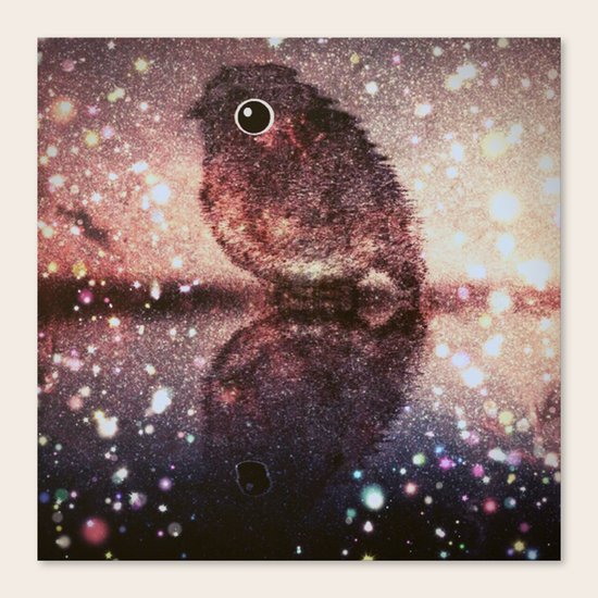 bird-215 Canvas Print