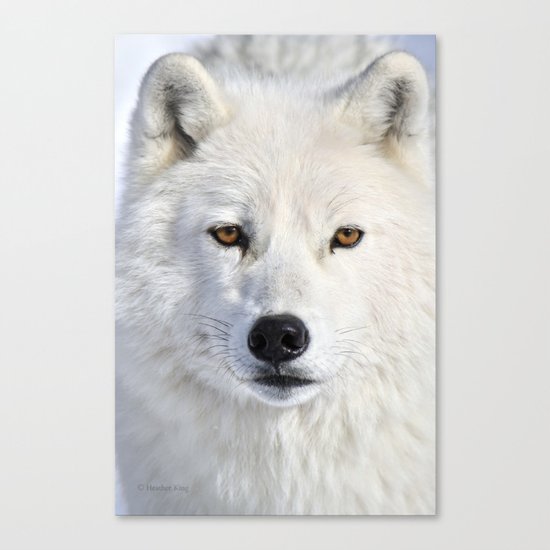 Up close and personal Canvas Print