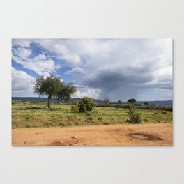 Masai Mara Storm Canvas Print