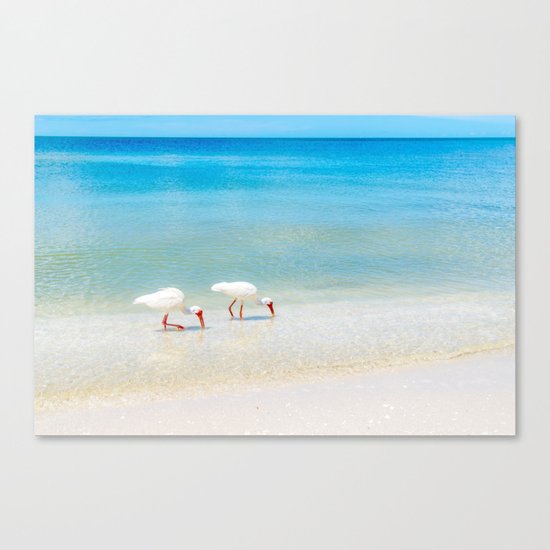 Feeding Time Canvas Print