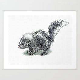 Baby Skunk Art Print