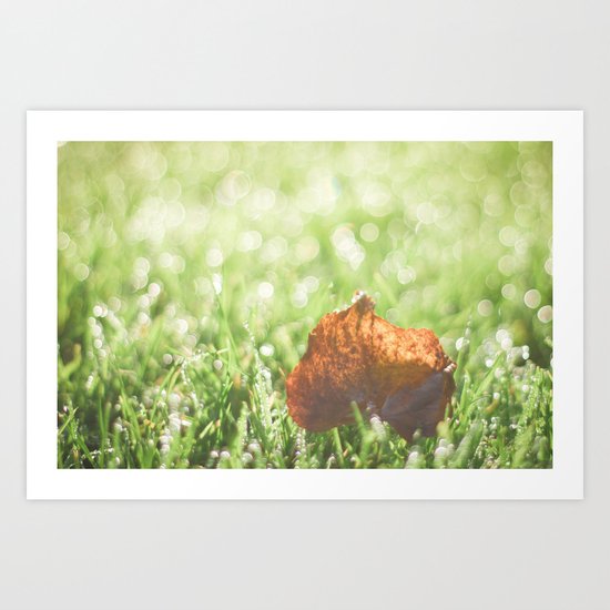 Morning Dew Art Print