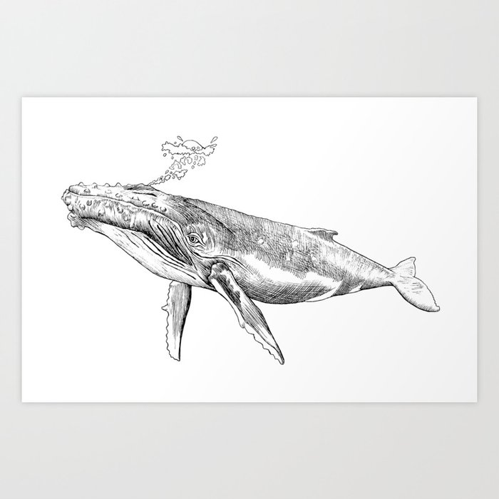 Humpback Whale with Bubbles Art Print
