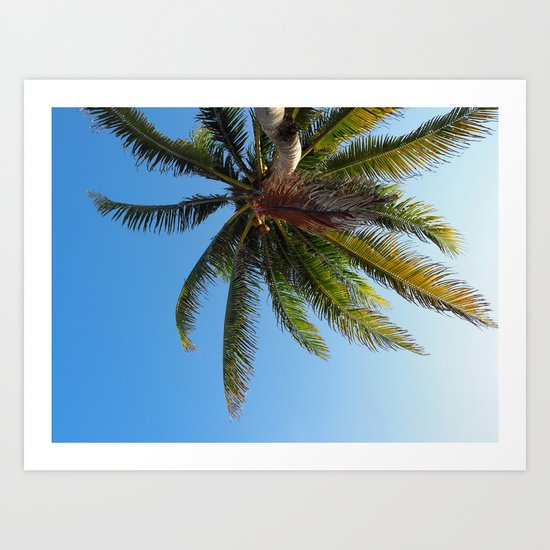 Palm Tree Akumal Beach Art Print