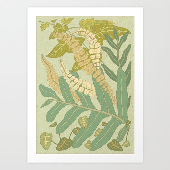 Ferns Art Print