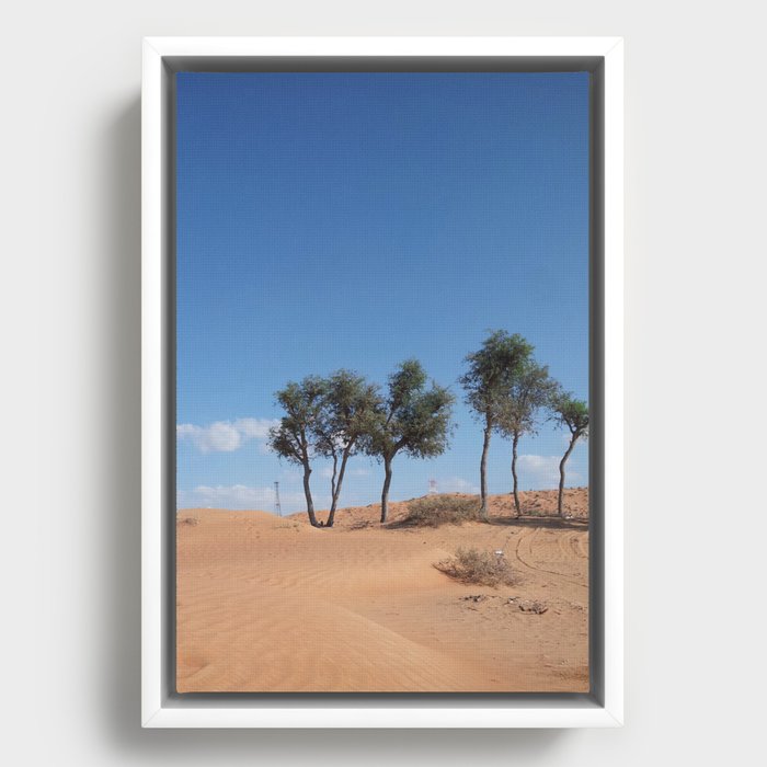 desert Framed Canvas