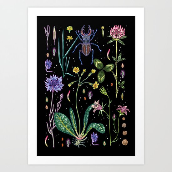 Midsummer Night's Dream Art Print