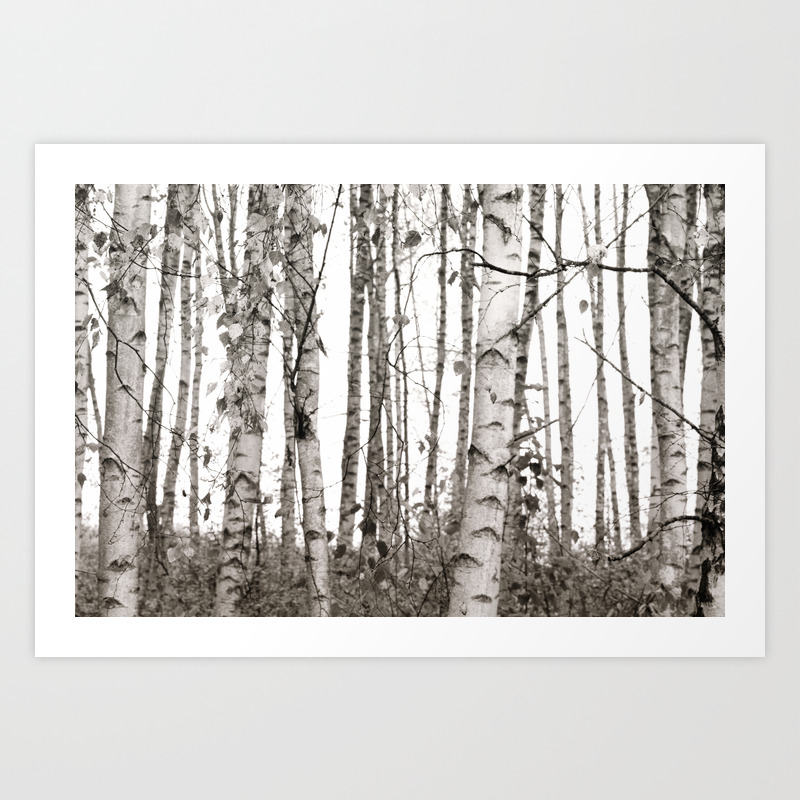 Birchwood Art Print By Sunlightstudios Society6