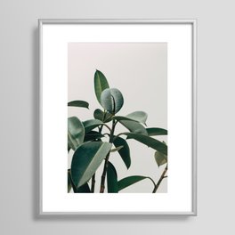 RUBBER TREE PLANT Framed Art Print | Nature, Modern, Rubbertree, 2017, Houseplant, Rubbertreeplant, Plant, Tropical, Photo, Rubberfig 