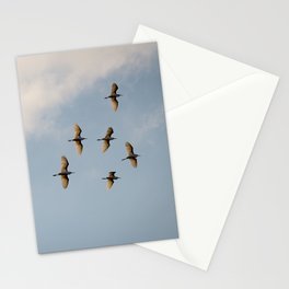 Egrets flying overhead. Stationery Cards