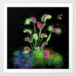 Venus Flytrap Art Print