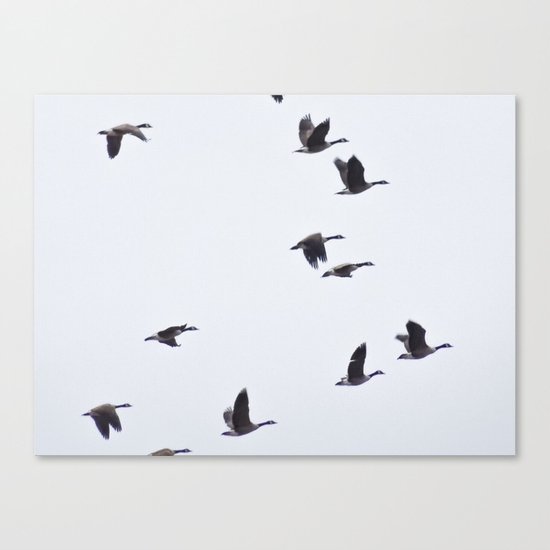 Birds -Scandinavian Minimalist Art Canvas Print