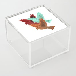 three colorful little birds flying Acrylic Box