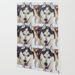 Siberian Husky Wallpaper For Any Decor Style Society6