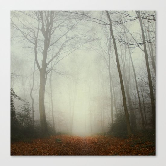 fog trail Canvas Print