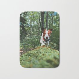 Adventures of a JRT Bath Mat | Jackrussell, Nationalforest, Animal, Plants, Cute, Log, Adventure, Dog, Forest, Jrt 