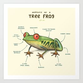 Anatomy of a Tree Frog Art Print