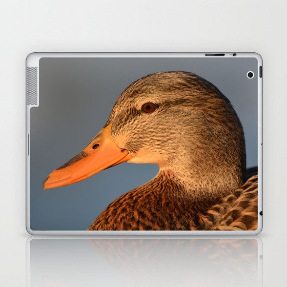 Female Duck Portrait Laptop & iPad Skin