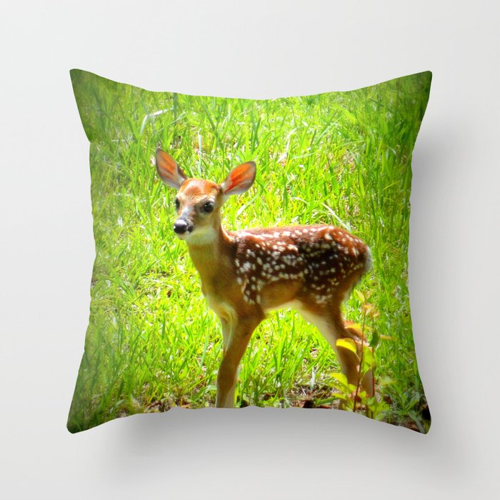 FAWN : Real Life Bambi Throw Pillow