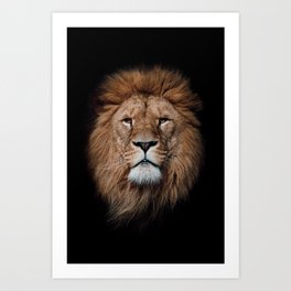 King of the jungle portrait | Wildlife photography art Art Print