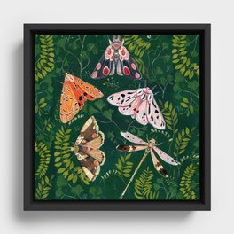 Moths and dragonfly Framed Canvas