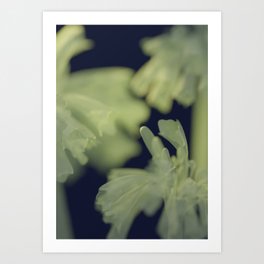 Floral modern moody bell flower art print Art Print