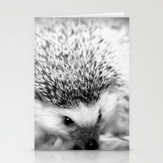 hedgehog Stationery Cards