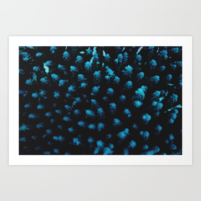 Coral Reef 210305-9C1A7737 Art Print