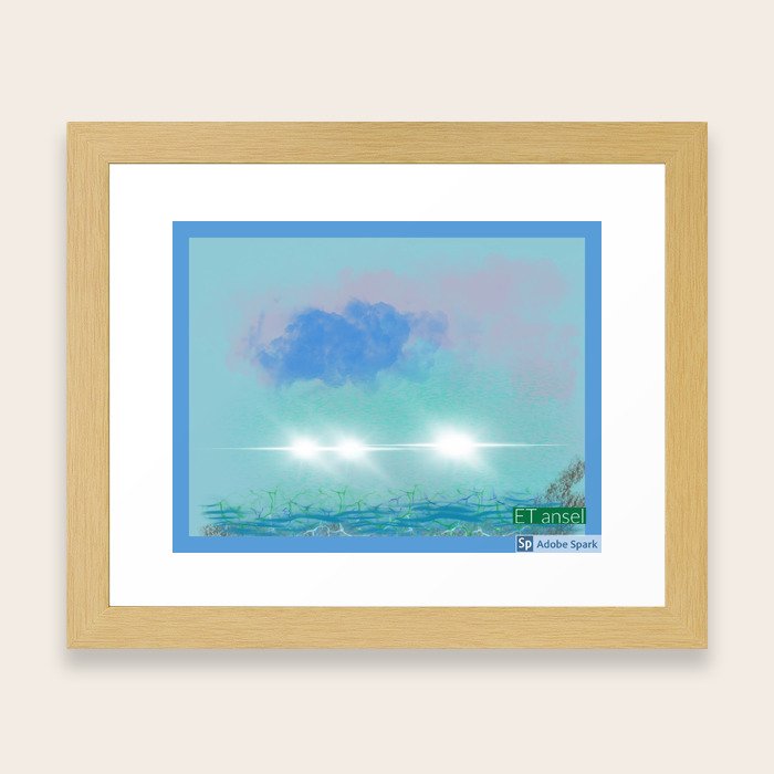 What is flying over Daytona memory Framed Art Print