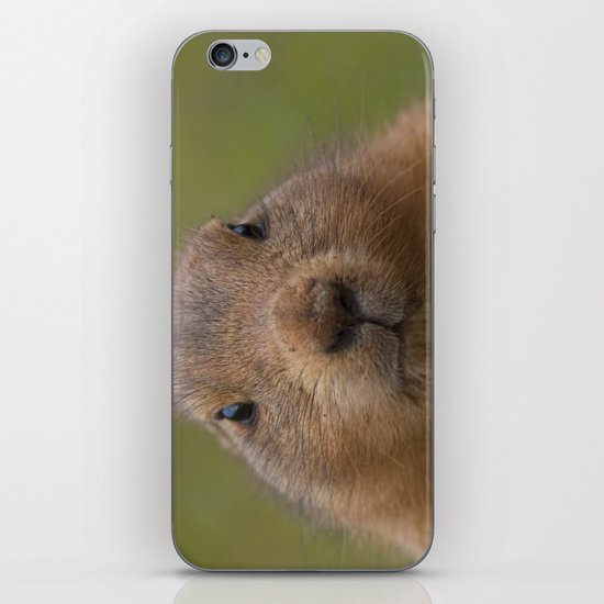 I'm cute iPhone & iPod Skin