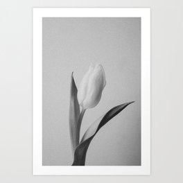 Joyous Tulip Art Print