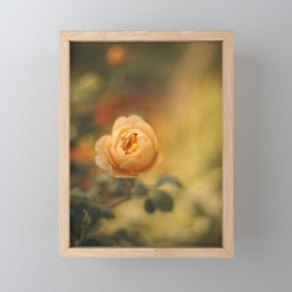 Golden yellow rose | Flower photography | Floral photography Framed Mini Art Print