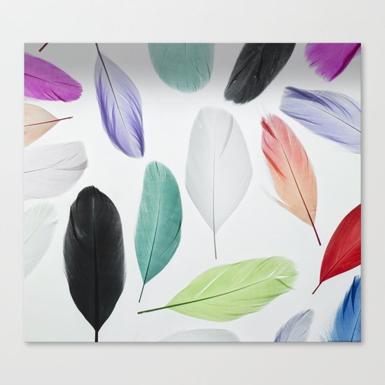 Feathers Canvas Print