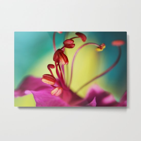 Geranium Dance II Metal Print