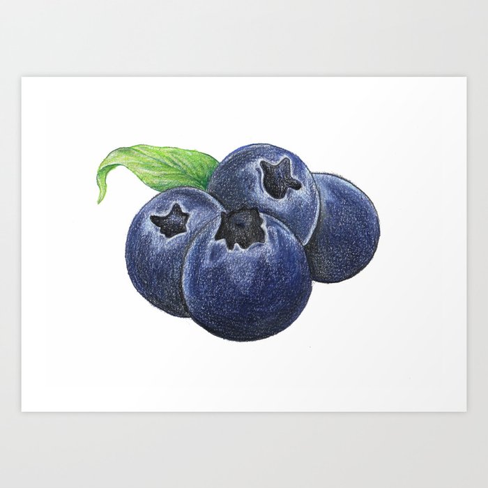 Blueberries Art Print