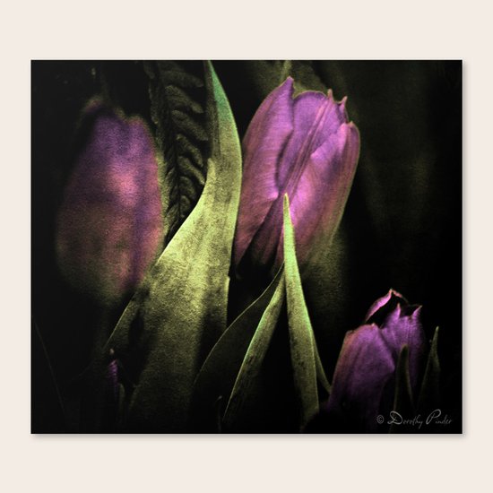 Dark Times Canvas Print