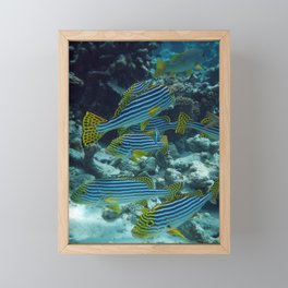 clownfish Framed Mini Art Print