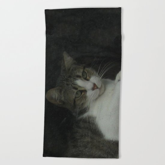 through the looking glass - cat meditating at the window Beach Towel