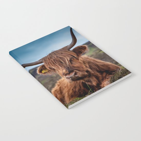 Beef Nature Notebook