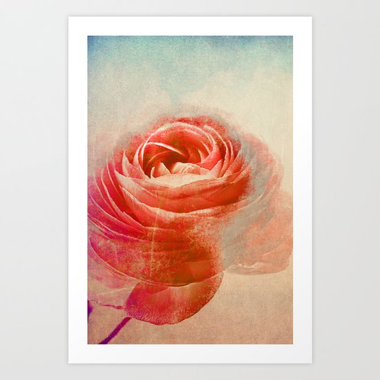 Vintage Ranunculus(3). Art Print