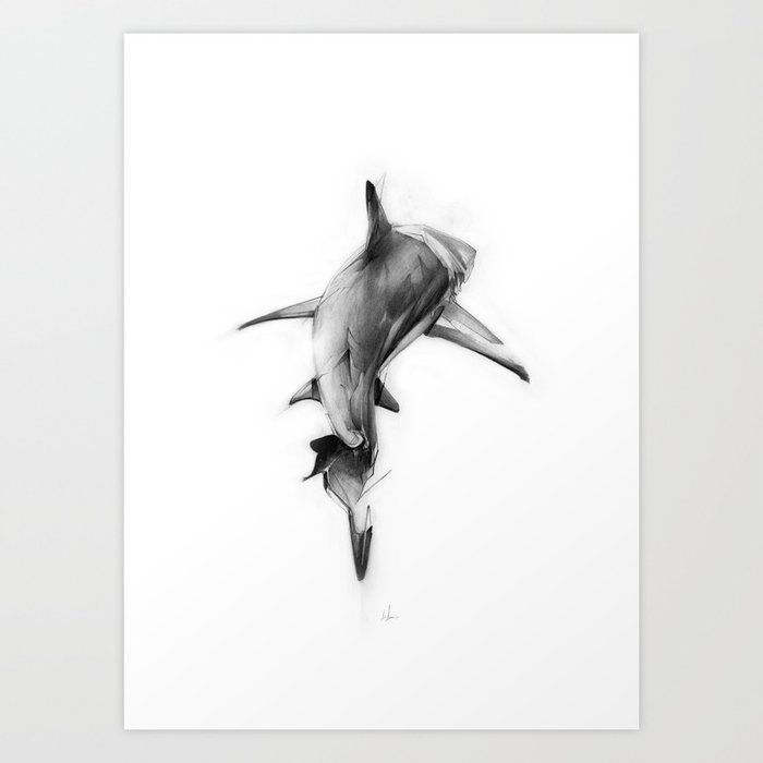Shark II Kunstdrucke Shark II Kunstdrucke